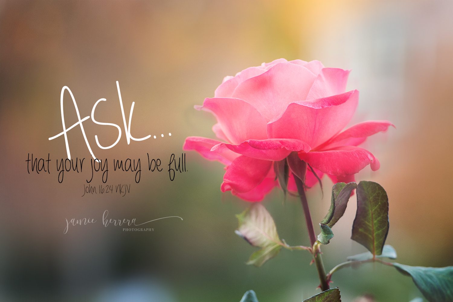 Prayer - ask and you will receive joy