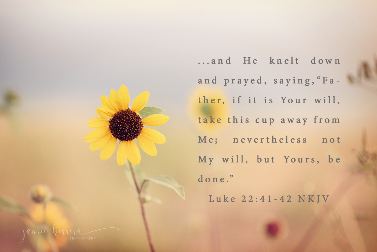 God's_Will_Every_Prayer_Answered_Christian_Prayer