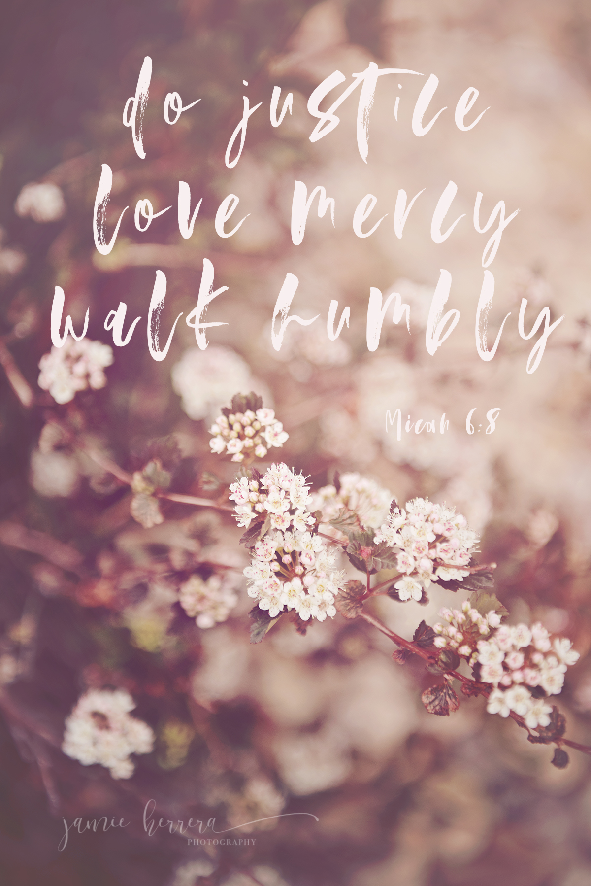 do_justice_love_mercy_walk_humbly_jamie_herrera_photography_micah_6:8