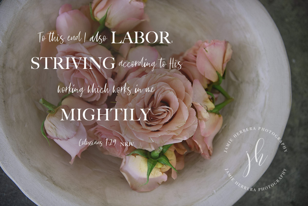 To this end I also labor, striving according to His working which works in me mightily. Colossians 1:29 NJKV